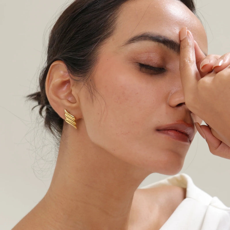 Wings Earrings