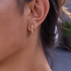 Arzel Hoops