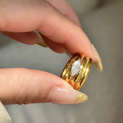 Arya Ring