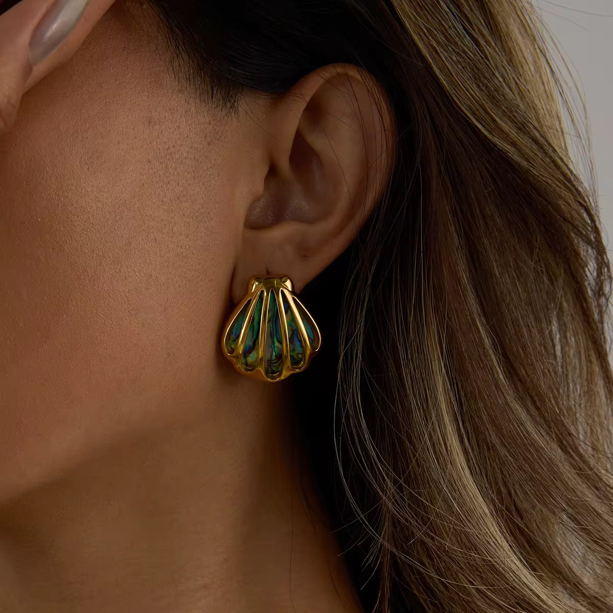 Sea Shell Earrings